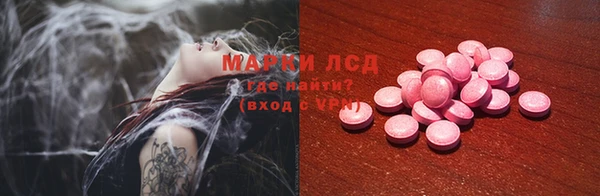 apvp Алзамай