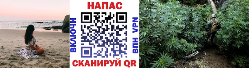 гидра рабочий сайт  Бокситогорск  Канабис сатива 